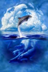 Dolphin Background 9