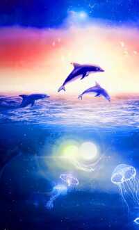 Dolphin Wallpaper 10