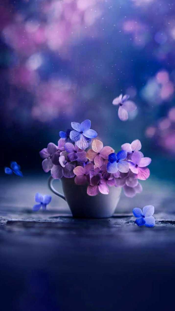 4K Flowers Wallpaper 1 4K Flowers Wallpaper 1