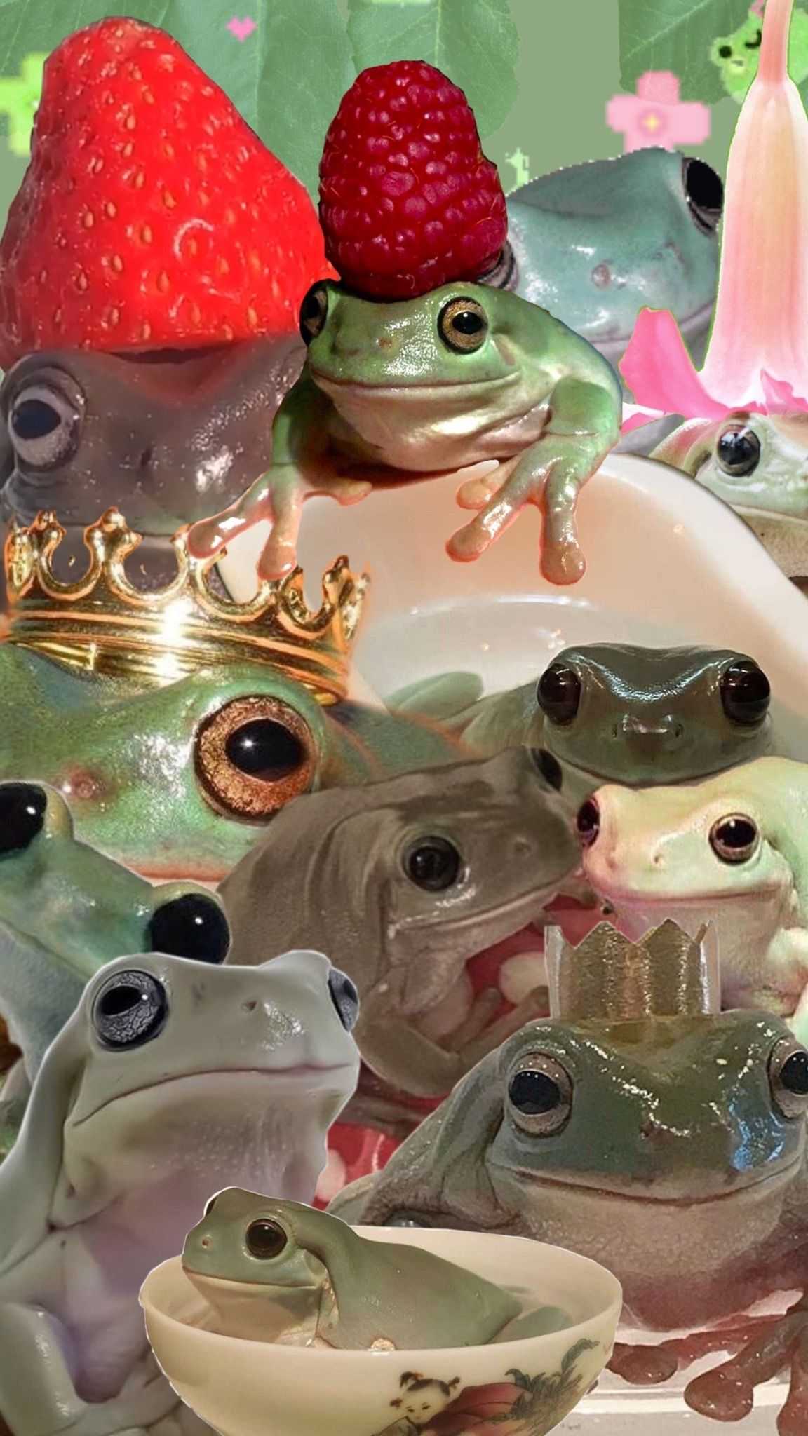 Frog Wallpaper 1