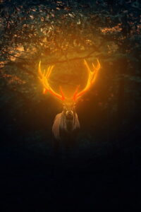 Deer Background 4