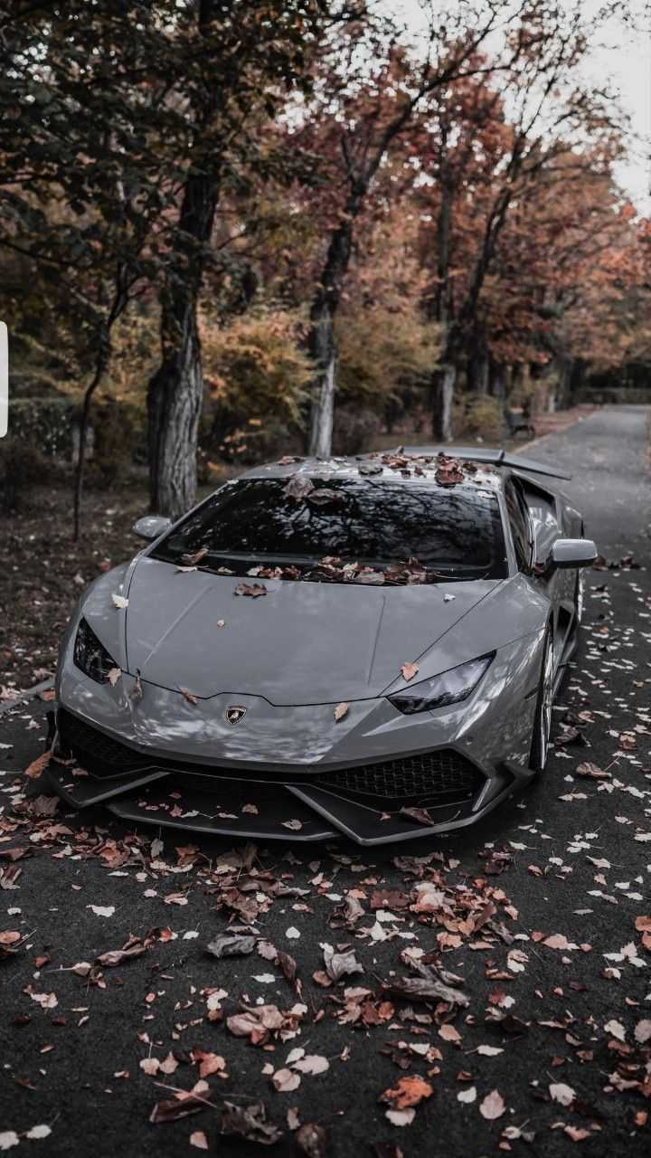 Lamborghini Wallpaper 1