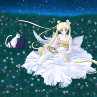 Sailor Moon Background 4