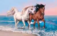 Horse Wallpaper Desktop 4