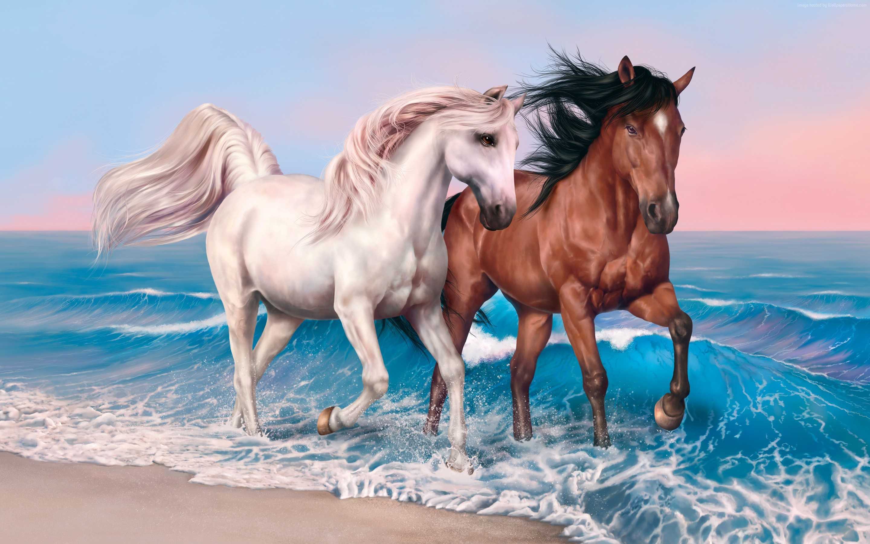 Horse Wallpaper Desktop 1