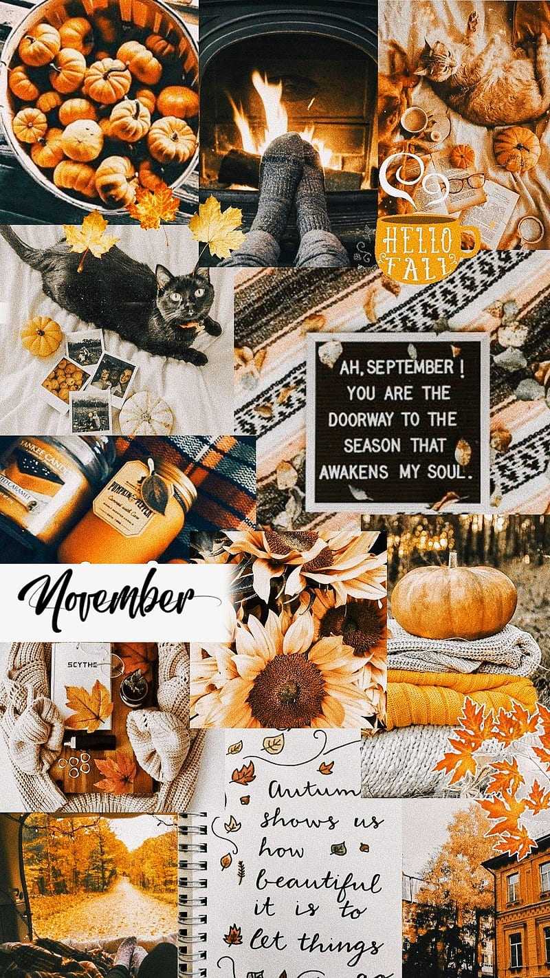November Background - KoLPaPer - Awesome Free HD Wallpapers