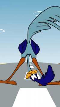 HD Road Runner Wallpaper 5
