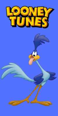 Road Runner Wallpaper 1