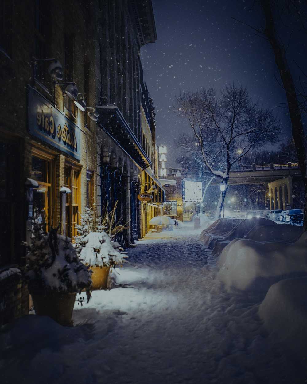 Winter Background 1 Winter Background 1