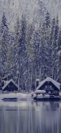 4K Winter Wallpaper 10