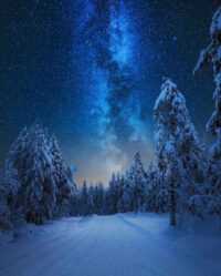 HD Winter Wallpaper 10