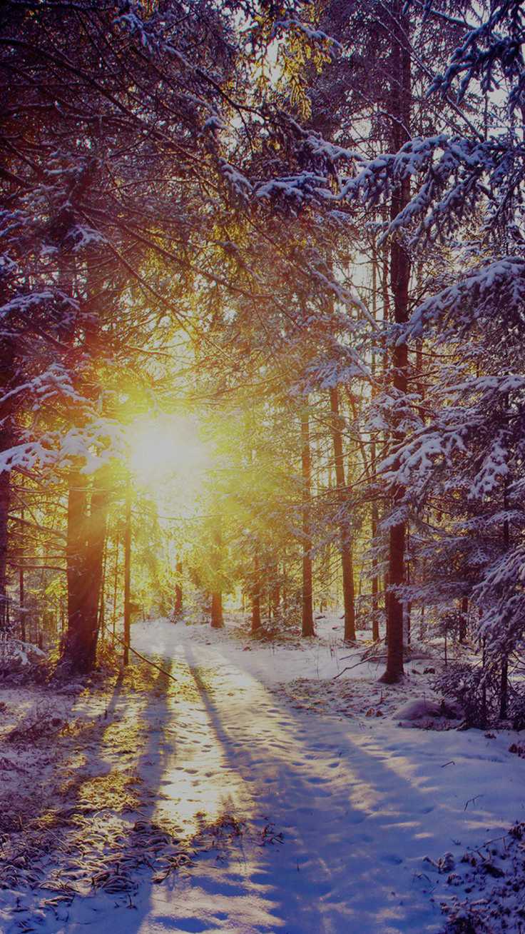 Winter Wallpaper 1 Winter Wallpaper 1