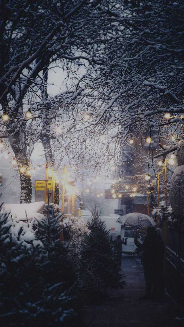 Winter Background 1 Winter Background 1