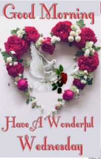 Happy Wednesday Wallpaper 2