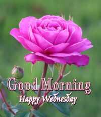 Happy Wednesday Wallpaper 4