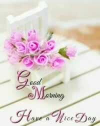 HD Happy Wednesday Wallpaper 7