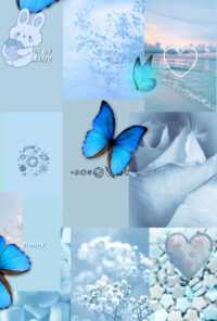 Blue Aesthetic Background 2