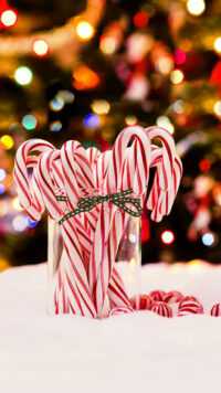 Candy Cane Background 6