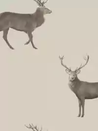 Deer Background 6