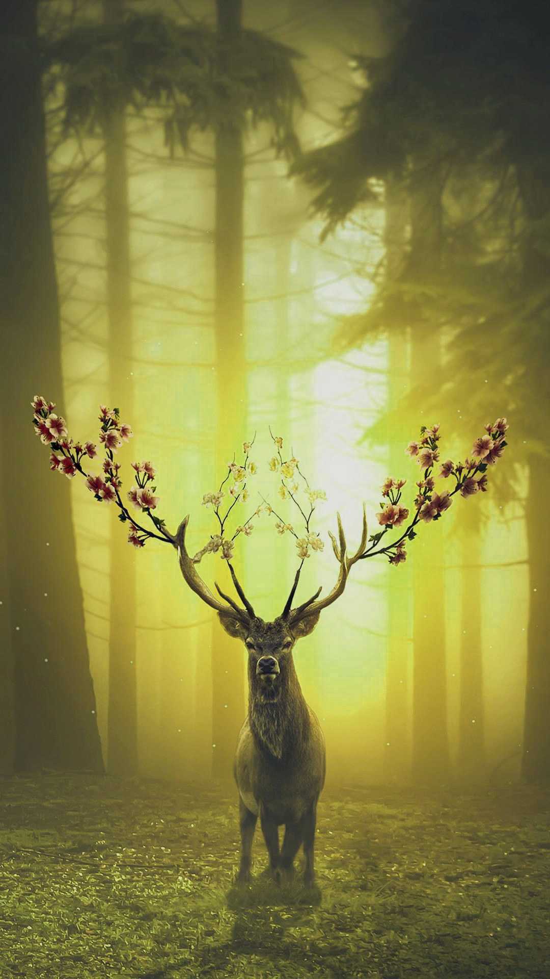 HD Deer Wallpaper 1