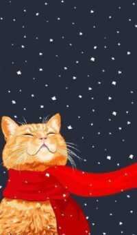 Christmas Cat Wallpaper 4
