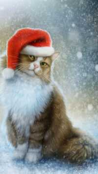 Christmas Cat Wallpaper 5
