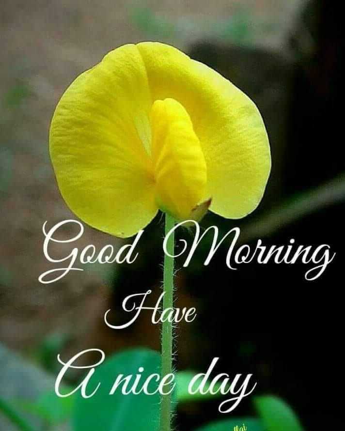 Happy Wednesday Wallpaper 1 Happy Wednesday Wallpaper 1