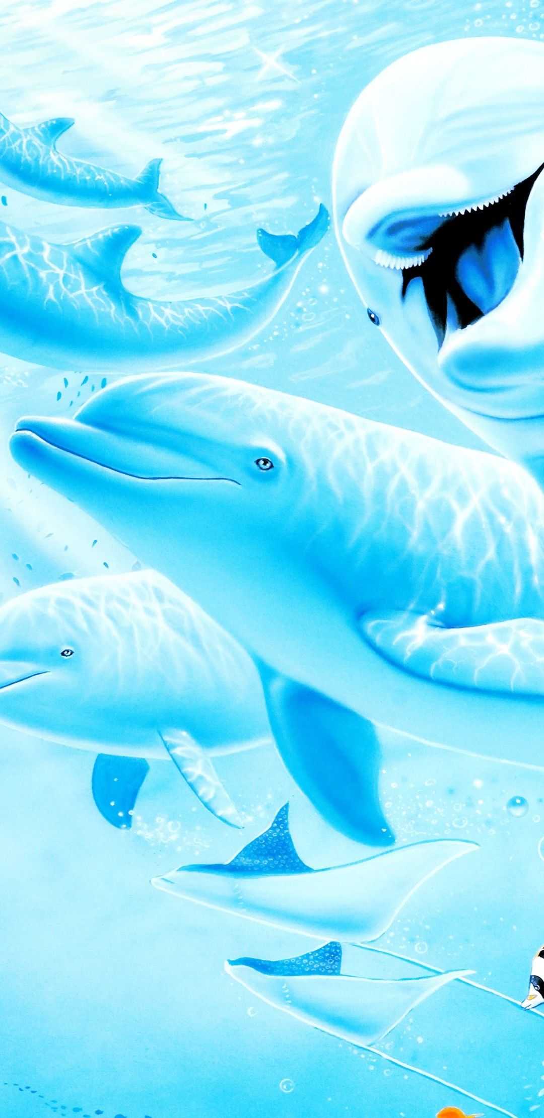 Dolphin Wallpaper 1