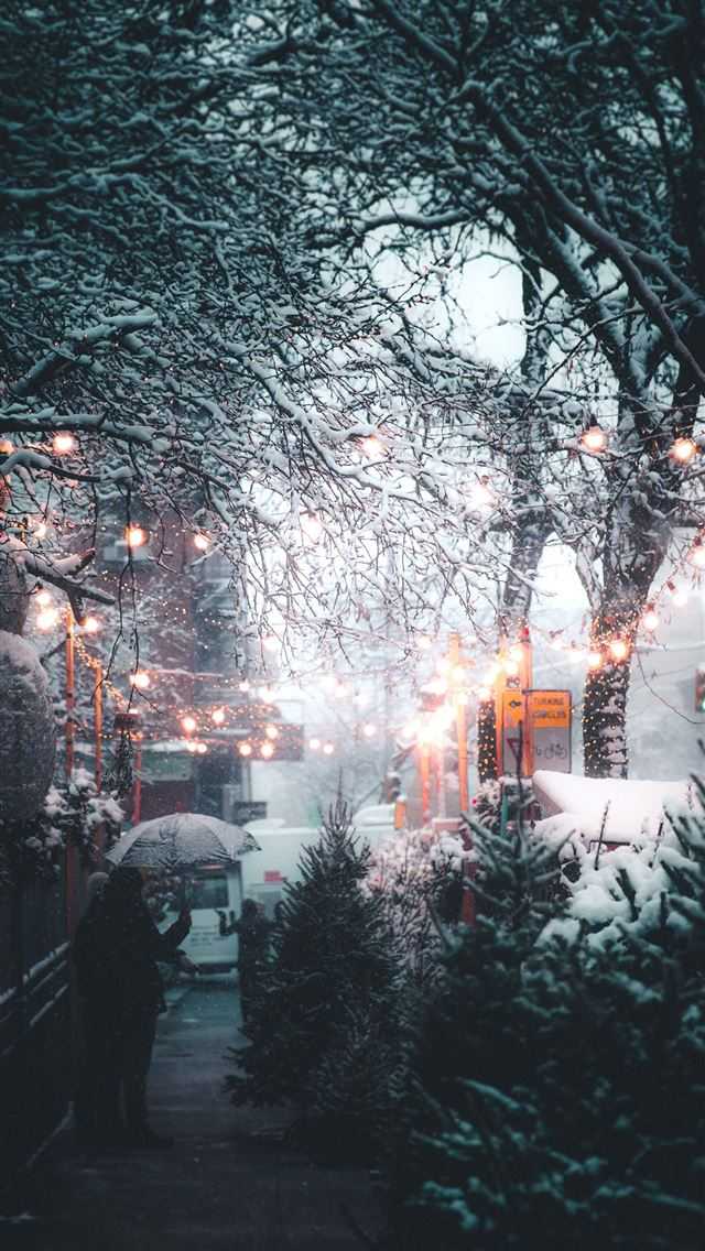Winter Background 1