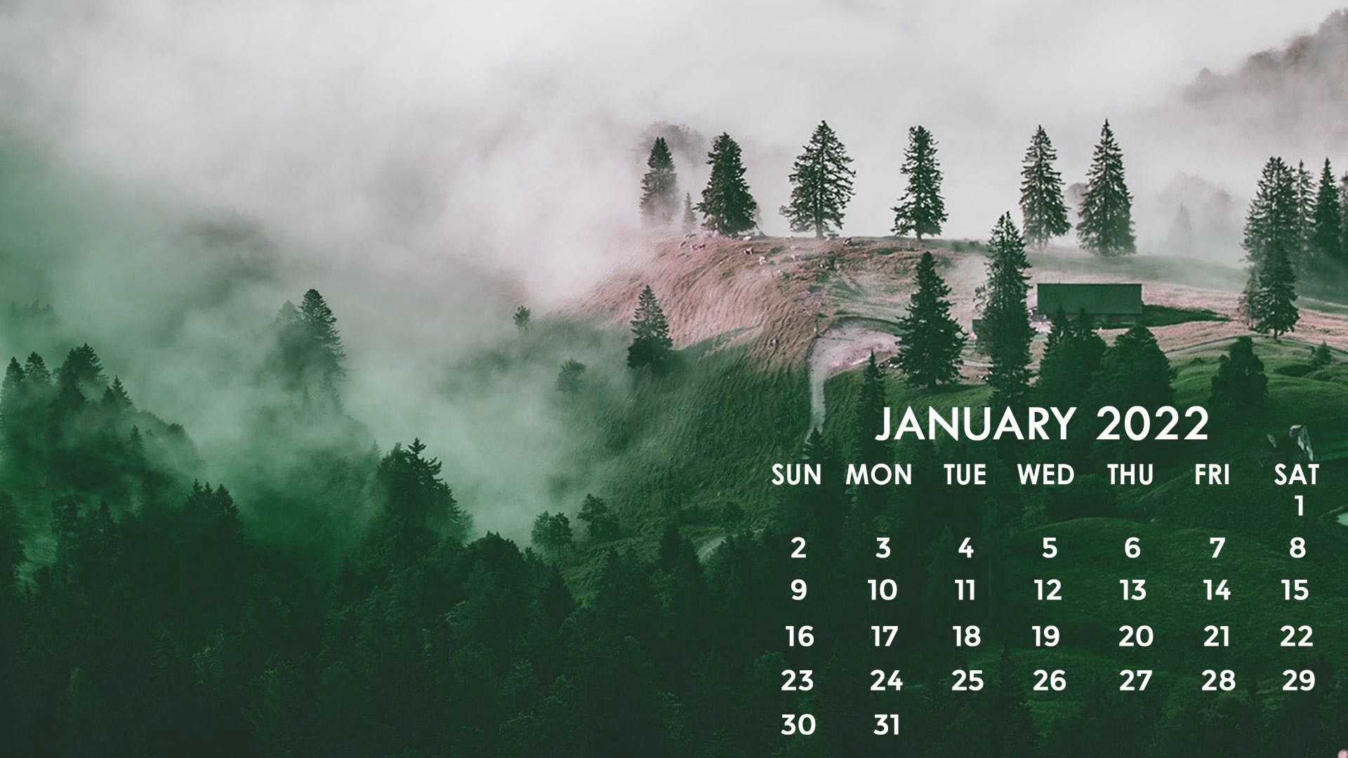 January 2022 Wallpaper Desktop 1