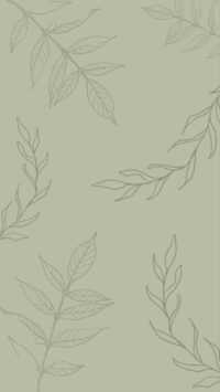 Sage Green Wallpaper 2