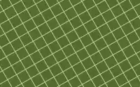Sage Green Wallpaper Desktop 7