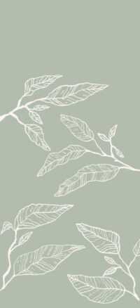 Sage Green Wallpaper 10