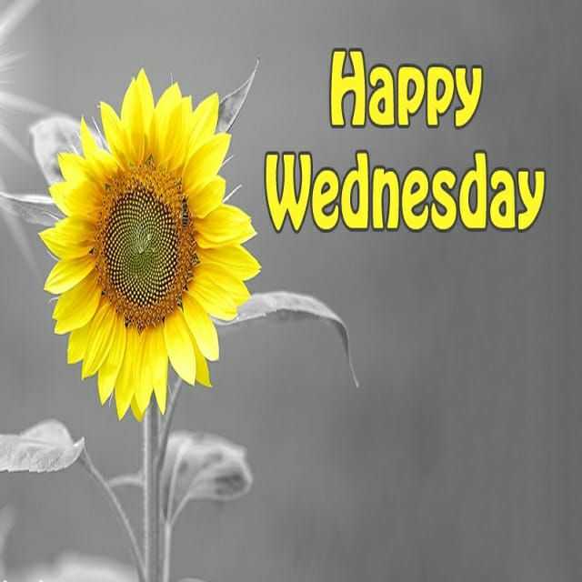 Happy Wednesday Wallpaper KoLPaPer Awesome Free HD Wallpapers