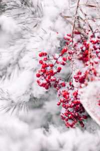 4K Snowy Christmas Wallpaper 5