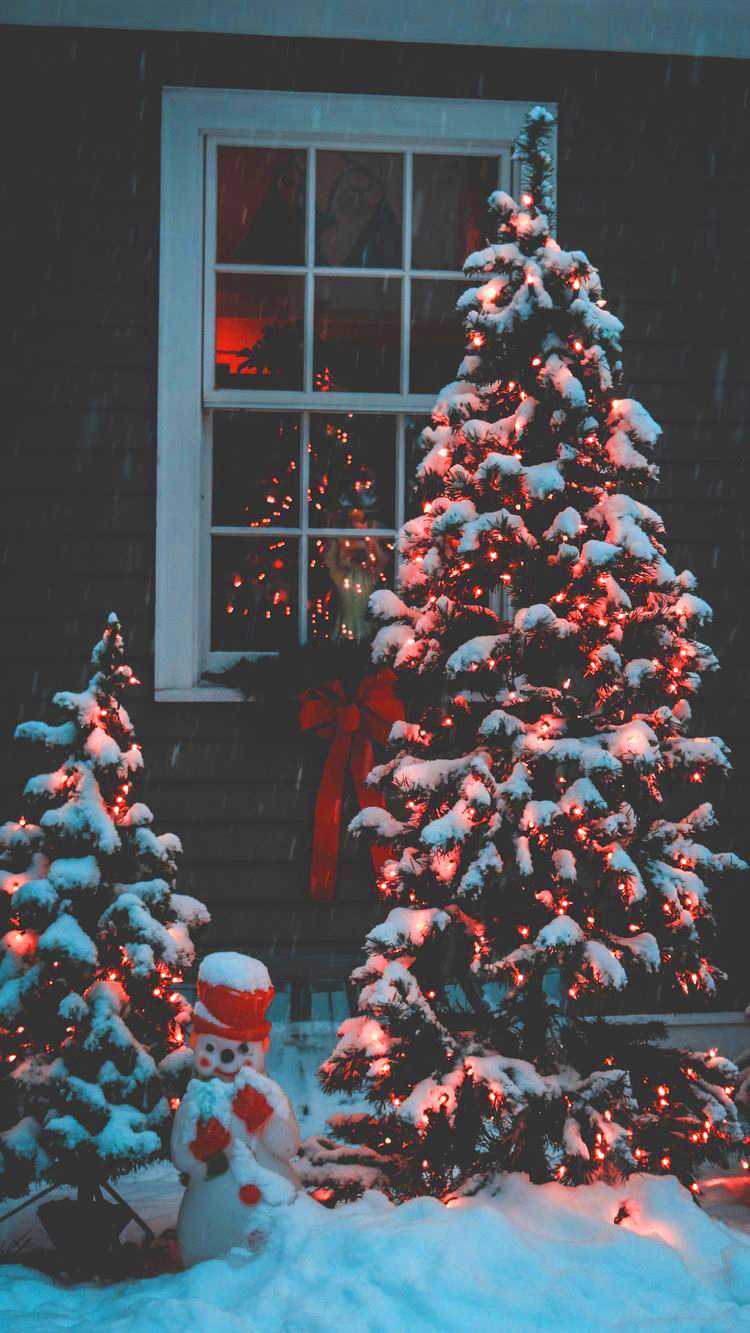 Snowy Christmas Background 1 Snowy Christmas Background 1