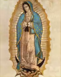 Virgen De Guadalupe Wallpaper 10