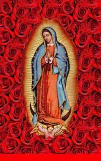 4K Virgen De Guadalupe Wallpaper 6