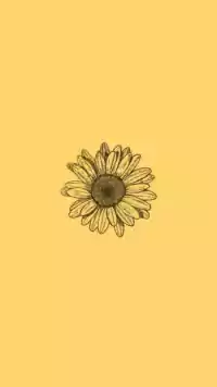 Yellow Aesthetic Background 2