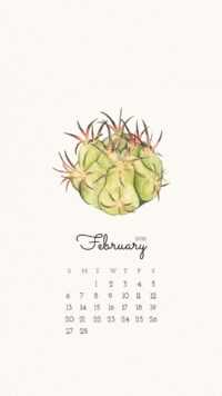 February 2022 Calendar Wallpaper 5