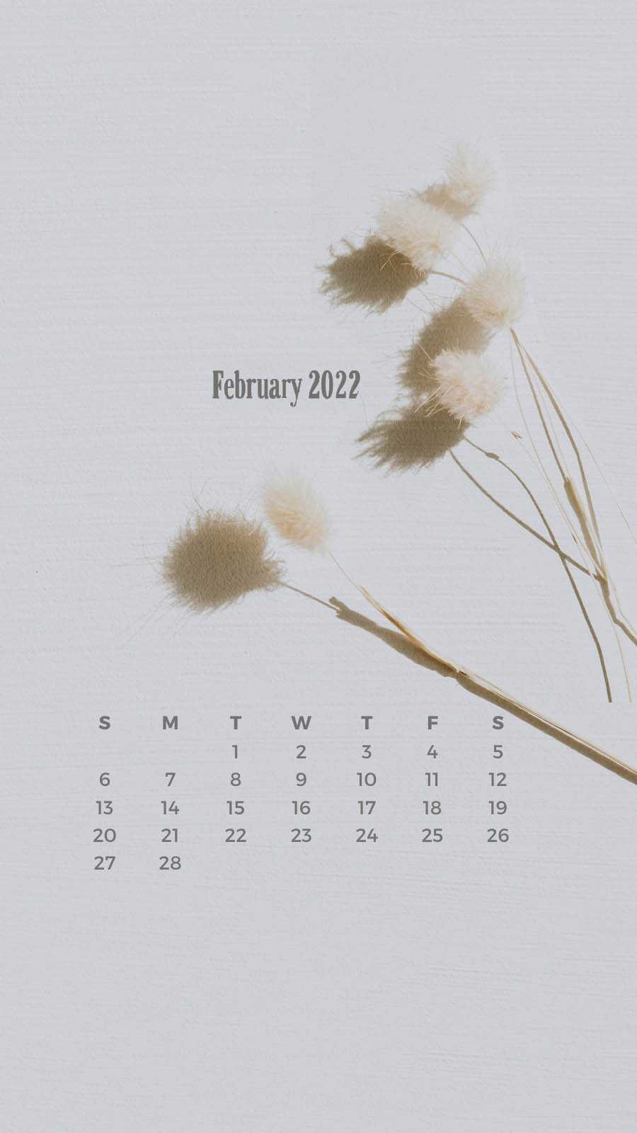 February Calendar Wallpaper 2022 1
