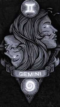 Gemini Wallpaper 9