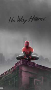 Spider Man No Way Home Wallpaper 2