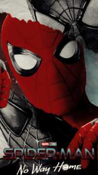 Spider Man No Way Home Wallpaper 9