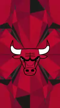 Bulls Wallpaper 6