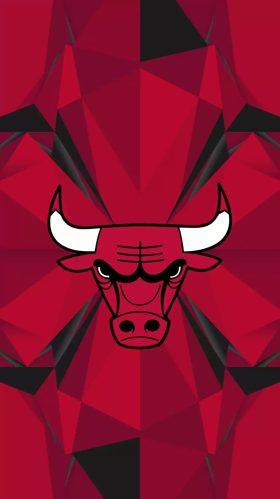 Bulls Wallpaper 1