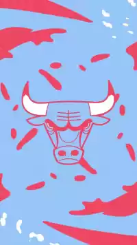 Bulls Background 7