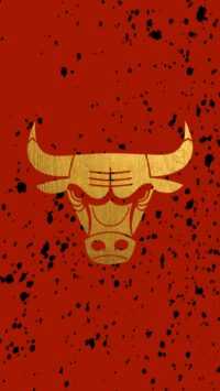 Bulls Wallpaper 10