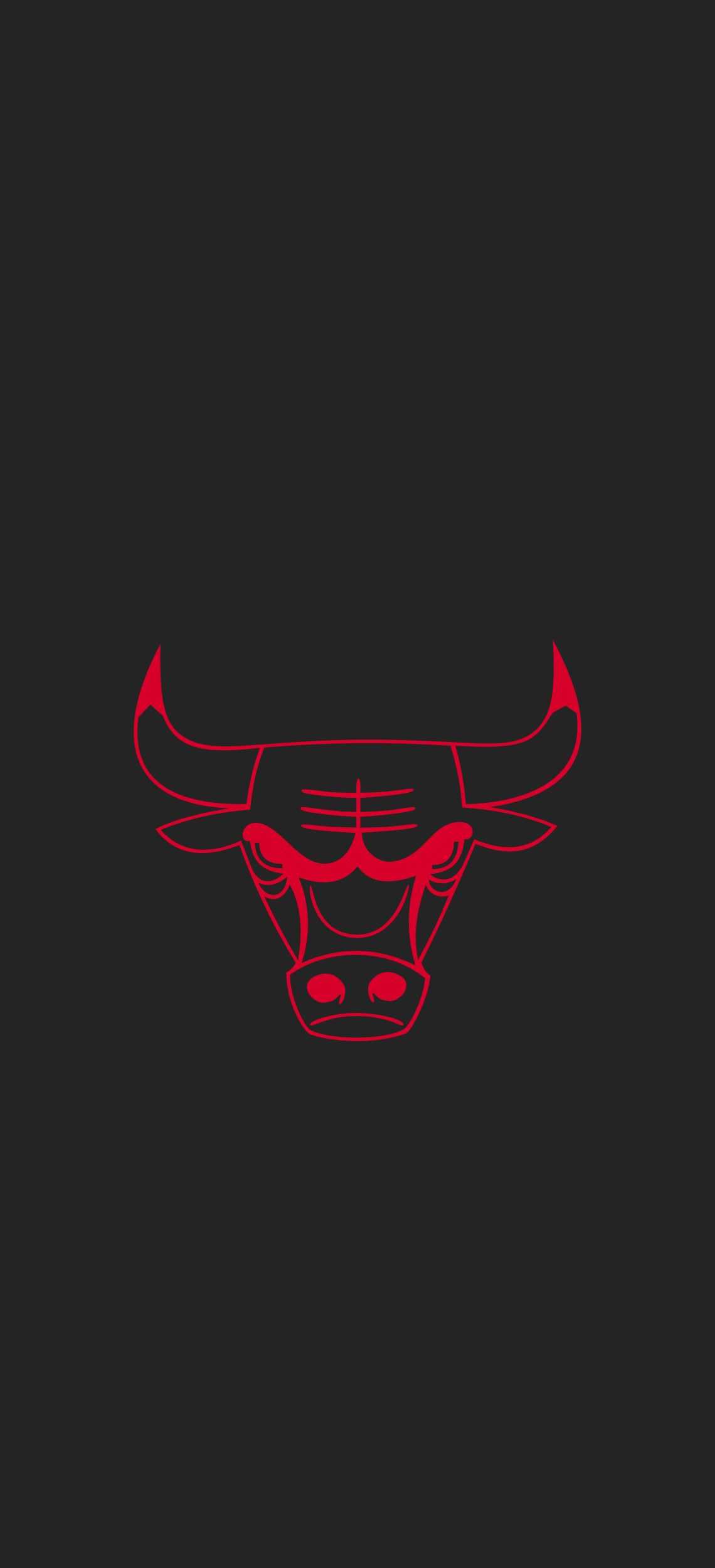Bulls Wallpaper 1