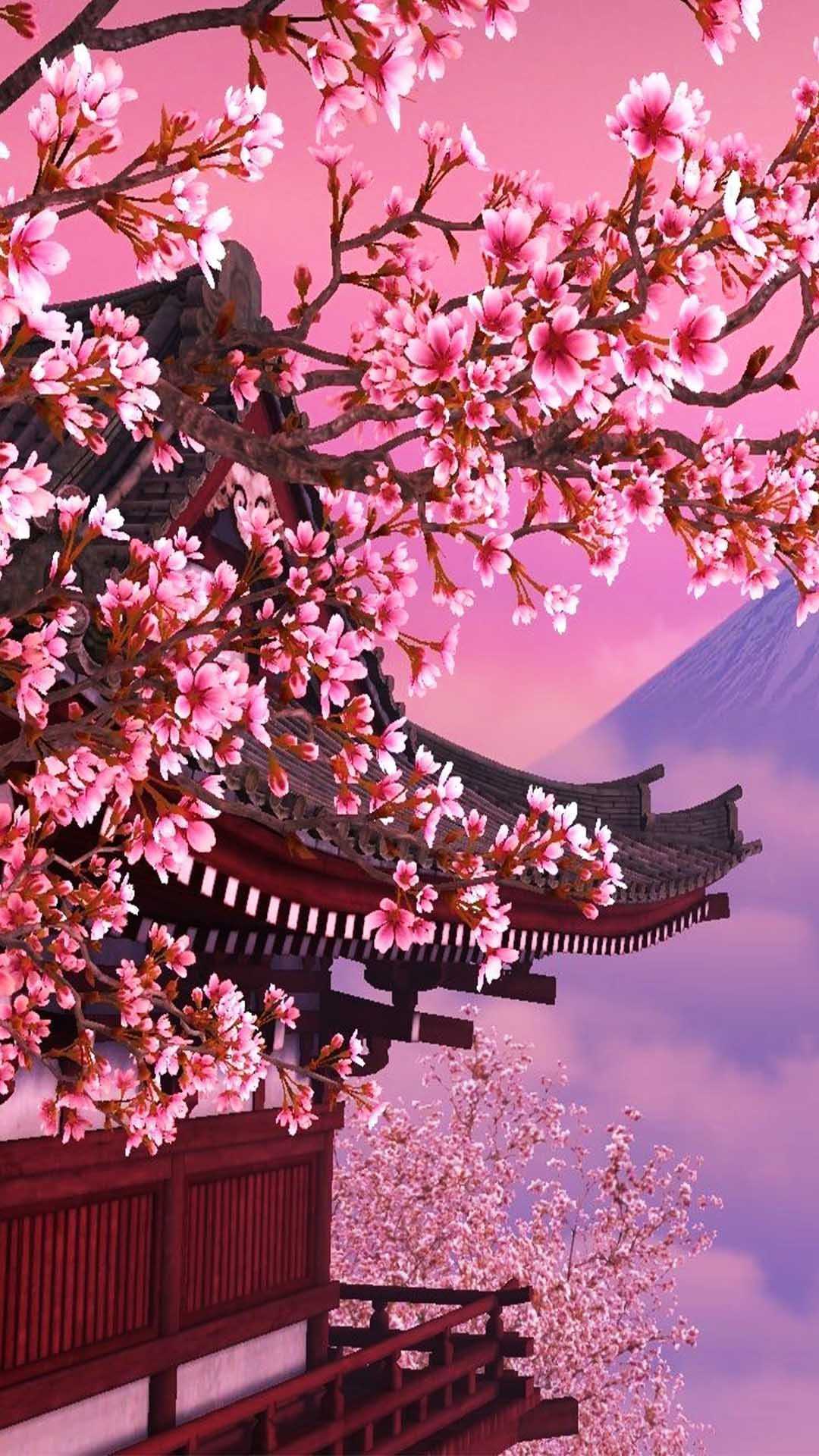 Cherry Blossom Wallpaper 1